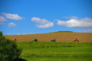 IMG_2876