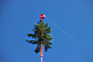 IMG_2895