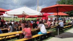 2016-05-26 Maibaumumschnitt-1