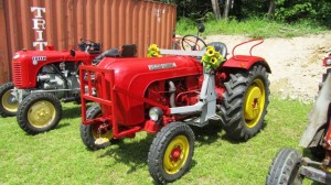 2016-05-26 Maibaumumschnitt-11