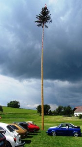 2016-05-26 Maibaumumschnitt-14-e1464342866790