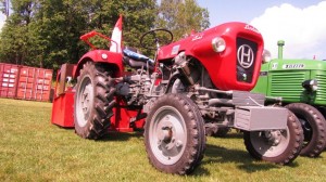 2016-05-26 Maibaumumschnitt-18