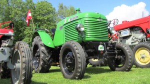 2016-05-26 Maibaumumschnitt-19