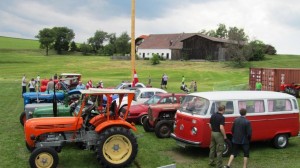 2016-05-26 Maibaumumschnitt-26