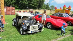 2016-05-26 Maibaumumschnitt-6