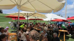 2017-06-15 Maibaumumschnitt 002