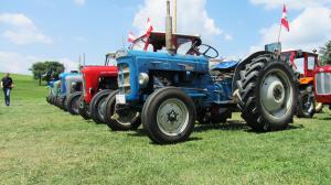 2017-06-15 Maibaumumschnitt 004