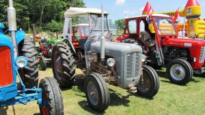 2017-06-15 Maibaumumschnitt 005