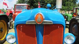 2017-06-15 Maibaumumschnitt 006