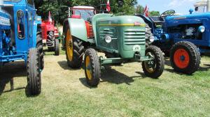 2017-06-15 Maibaumumschnitt 007