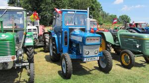 2017-06-15 Maibaumumschnitt 008