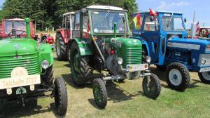 2017-06-15 Maibaumumschnitt 009