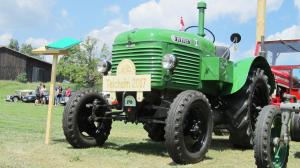 2017-06-15 Maibaumumschnitt 010