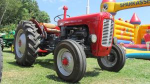 2017-06-15 Maibaumumschnitt 012