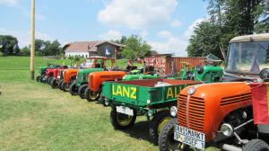 2017-06-15 Maibaumumschnitt 013