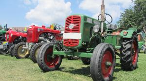 2017-06-15 Maibaumumschnitt 014