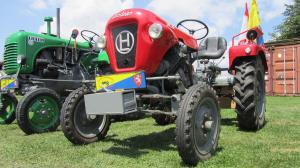 2017-06-15 Maibaumumschnitt 015