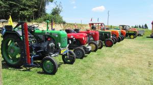 2017-06-15 Maibaumumschnitt 016