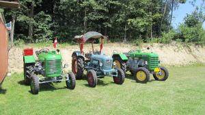 2017-06-15 Maibaumumschnitt 017