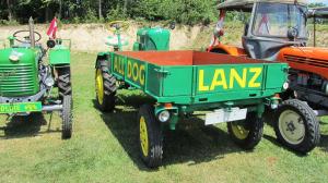 2017-06-15 Maibaumumschnitt 018