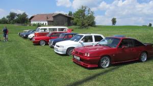 2017-06-15 Maibaumumschnitt 019