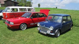 2017-06-15 Maibaumumschnitt 020