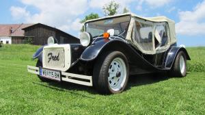 2017-06-15 Maibaumumschnitt 022