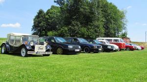 2017-06-15 Maibaumumschnitt 023