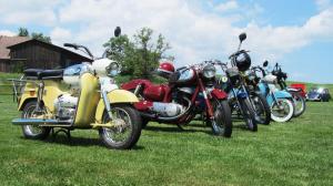 2017-06-15 Maibaumumschnitt 025