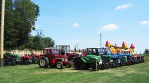 2017-06-15 Maibaumumschnitt 026