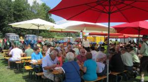 2017-06-15 Maibaumumschnitt 027