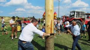 2017-06-15 Maibaumumschnitt 039