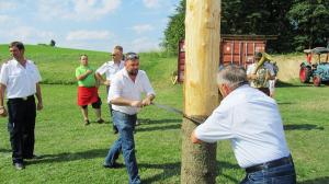 2017-06-15 Maibaumumschnitt 040