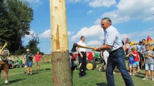 2017-06-15 Maibaumumschnitt 041