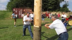 2017-06-15 Maibaumumschnitt 045