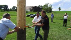 2017-06-15 Maibaumumschnitt 048