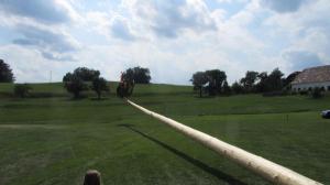 2017-06-15 Maibaumumschnitt 049