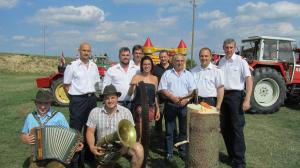 2017-06-15 Maibaumumschnitt 050