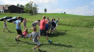 2017-06-15 Maibaumumschnitt 051