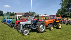 2018 05 31 Maibaumumschnitt001