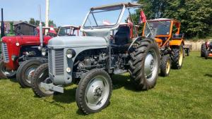 2018 05 31 Maibaumumschnitt002