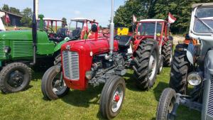 2018 05 31 Maibaumumschnitt003