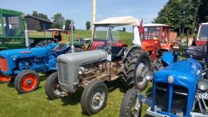 2018 05 31 Maibaumumschnitt006