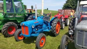 2018 05 31 Maibaumumschnitt007