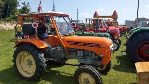 2018 05 31 Maibaumumschnitt010