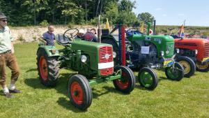 2018 05 31 Maibaumumschnitt011