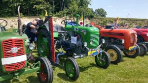 2018 05 31 Maibaumumschnitt012