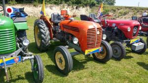 2018 05 31 Maibaumumschnitt013