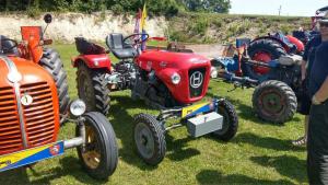 2018 05 31 Maibaumumschnitt014