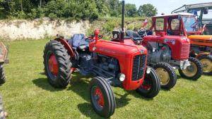 2018 05 31 Maibaumumschnitt016